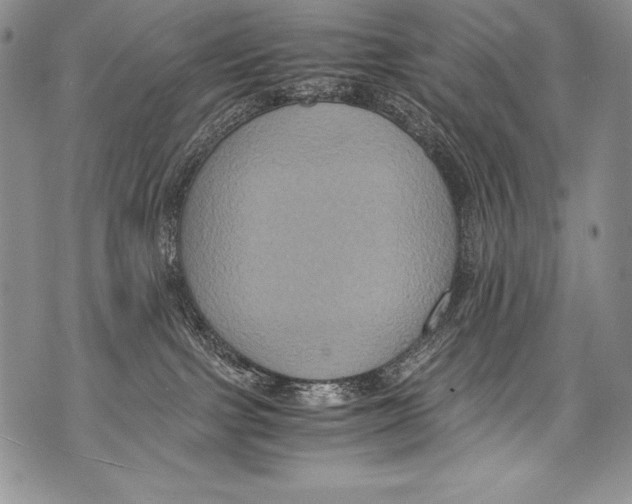 X0000071860091200607290208