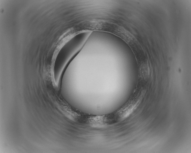 X0000071860092200607290208