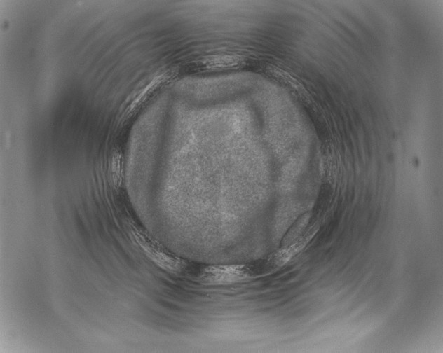 X0000071860093200607290208