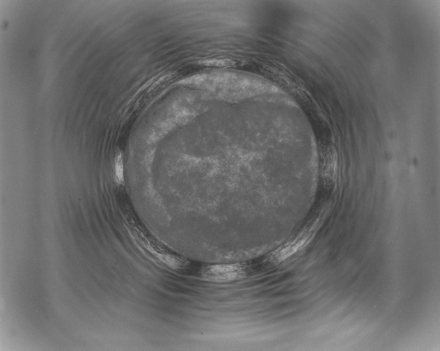 X0000071860095200607290208