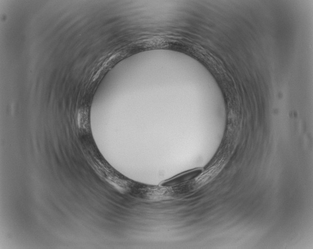 X0000071860096200607290208