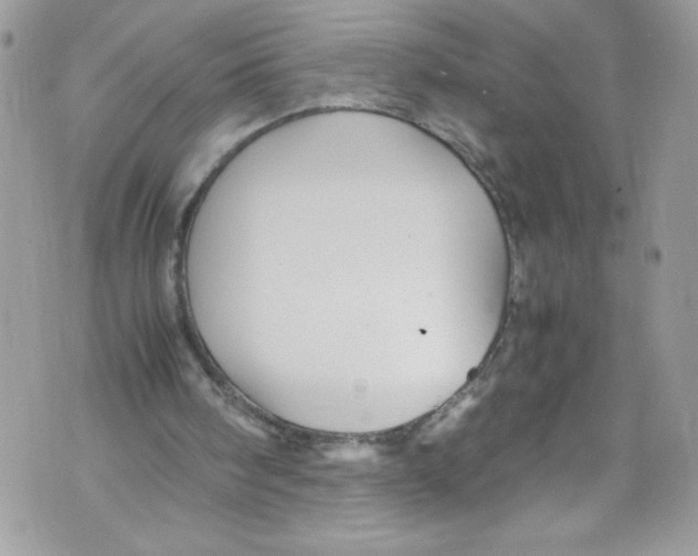 X0000071860098200607290207