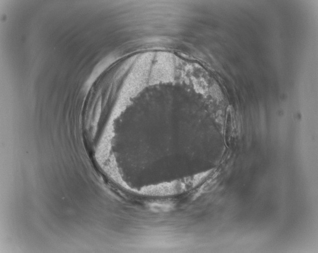 X0000071860099200607290207