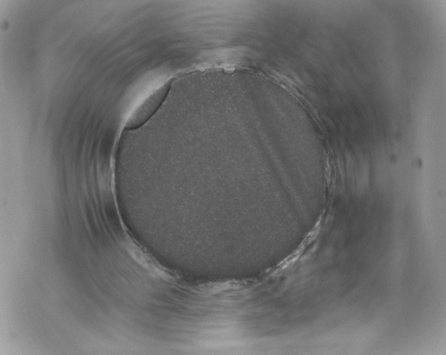 X0000071860100200607290207