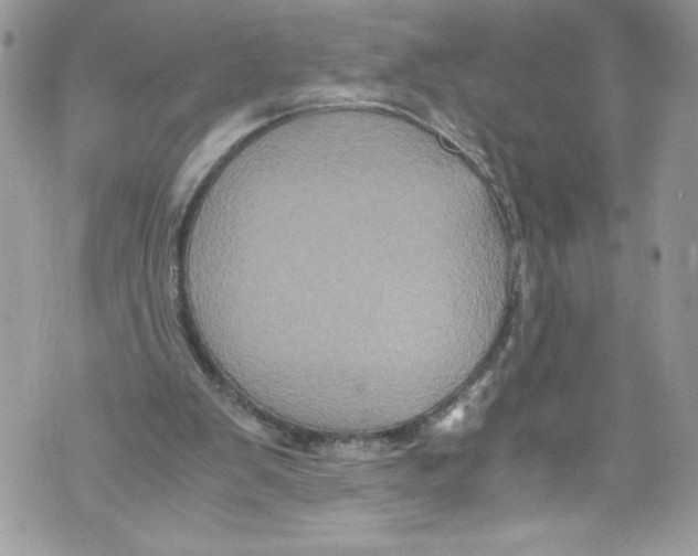 X0000071860103200607290207