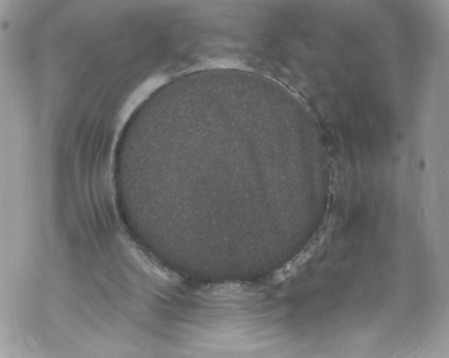 X0000071860104200607290207