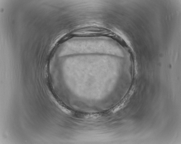 X0000071860105200607290207