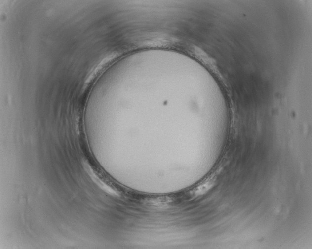 X0000071860106200607290207