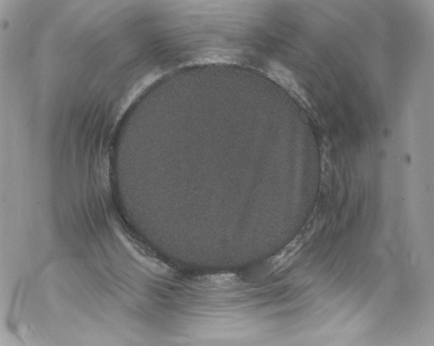 X0000071860108200607290207