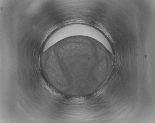 X0000071860110200607290207