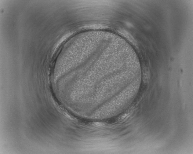 X0000071860111200607290207