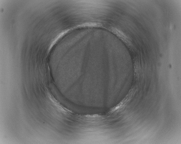 X0000071860112200607290207