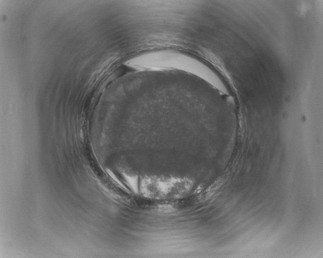 X0000071860114200607290207