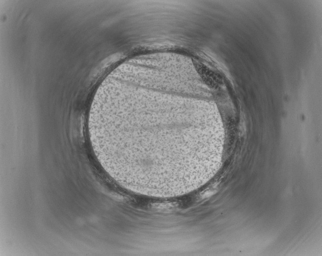 X0000071860115200607290207