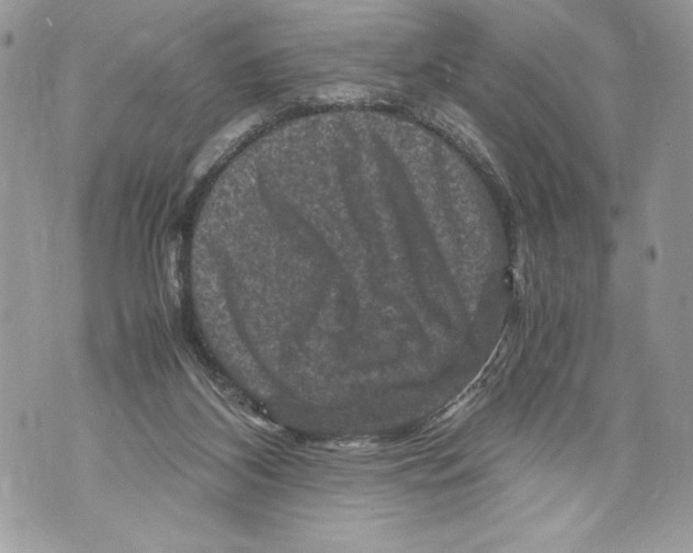 X0000071860116200607290207