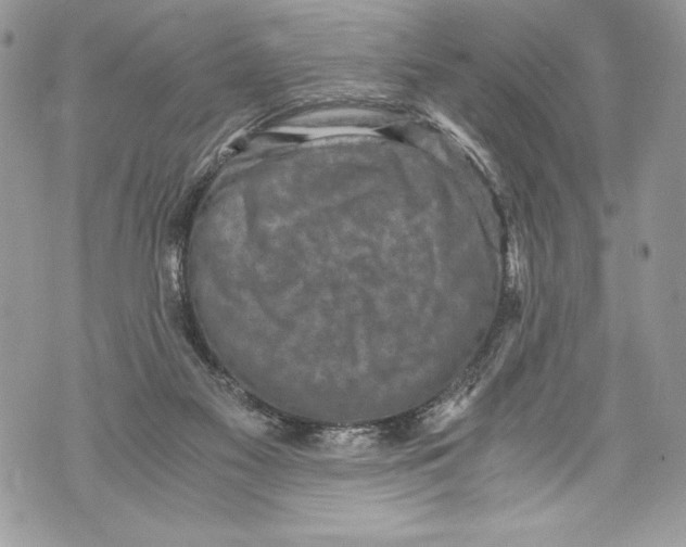 X0000071860117200607290207