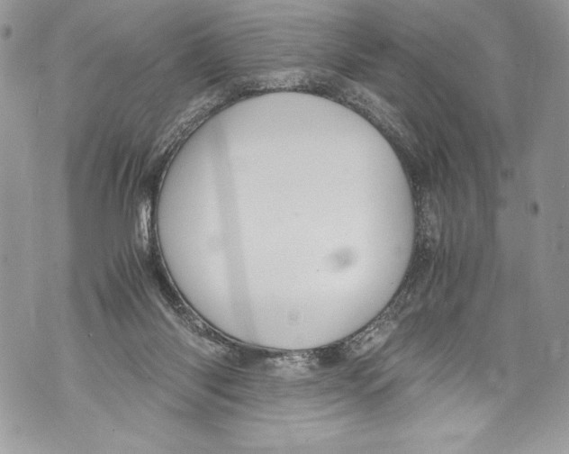 X0000071860118200607290207