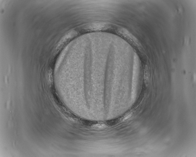 X0000071860119200607290207