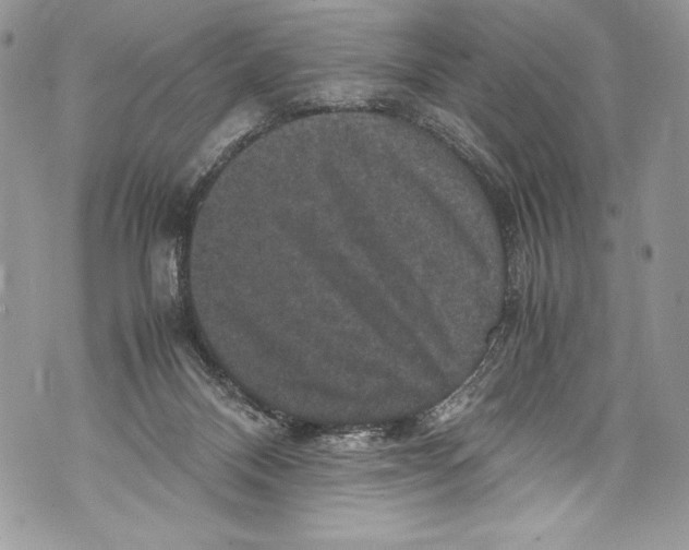 X0000071860120200607290207