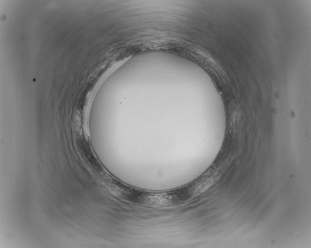 X0000071860121200607290207