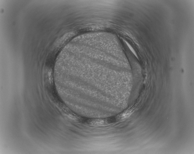 X0000071860123200607290207