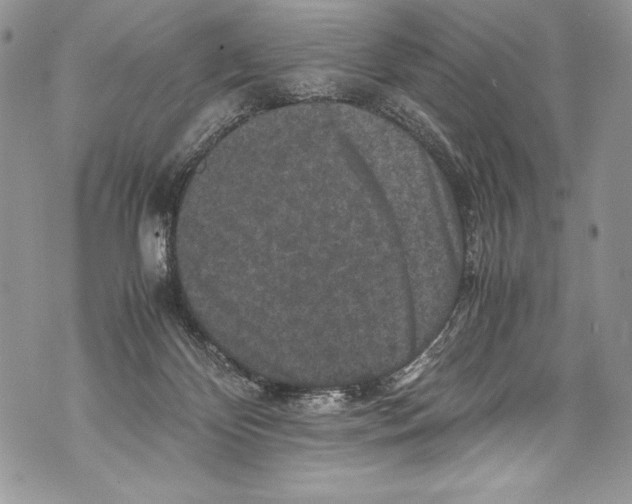 X0000071860124200607290207