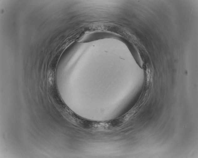 X0000071860125200607290207