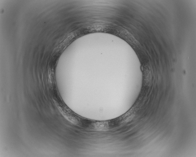 X0000071860126200607290207