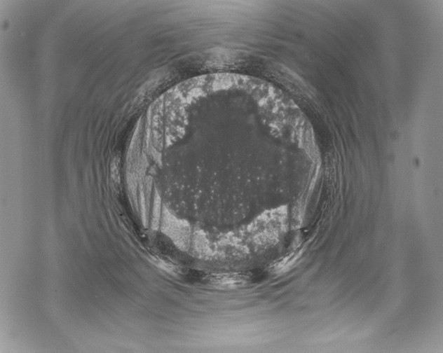 X0000071860127200607290207