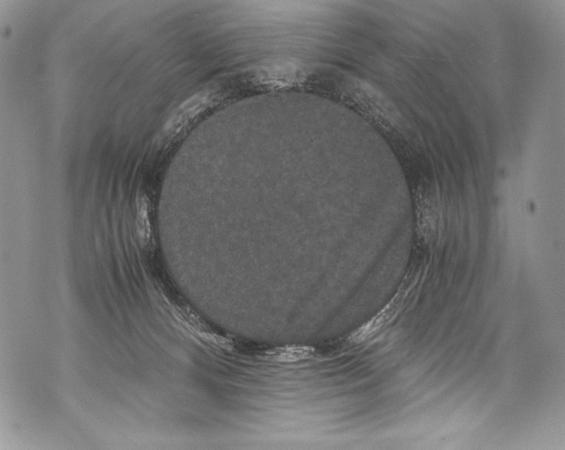 X0000071860128200607290207