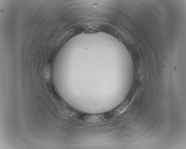 X0000071860129200607290207