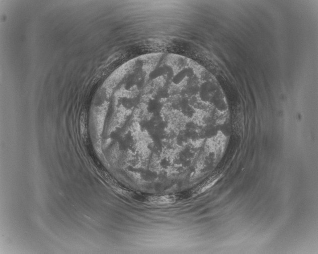 X0000071860131200607290207