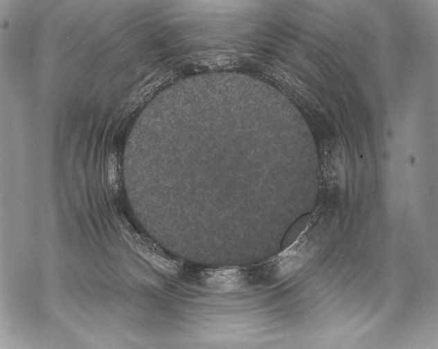 X0000071860132200607290207