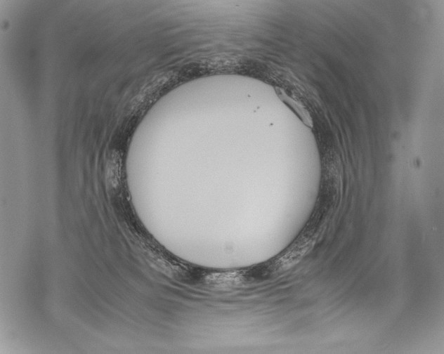 X0000071860133200607290207