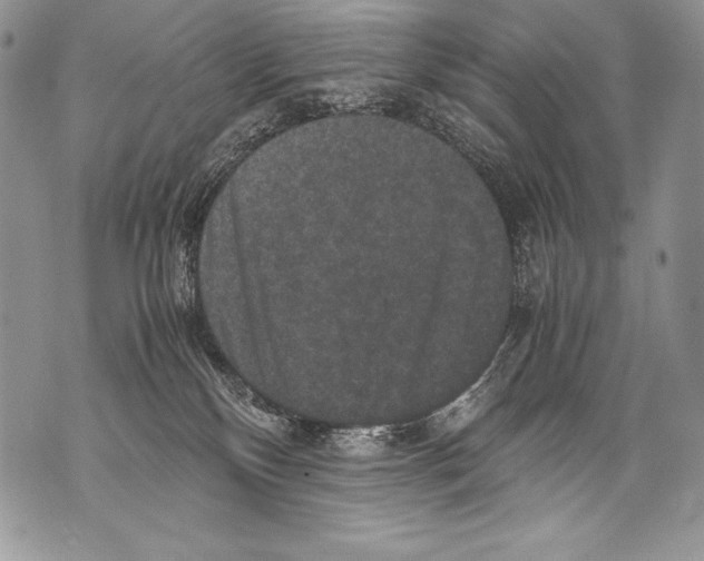 X0000071860136200607290207