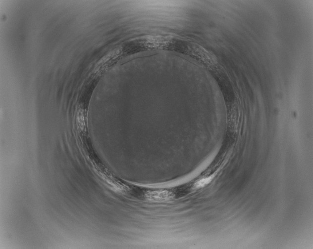 X0000071860137200607290207