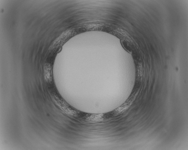 X0000071860138200607290206