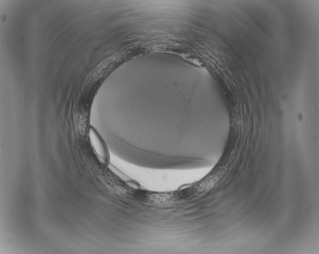 X0000071860139200607290206