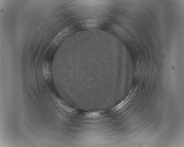 X0000071860140200607290206