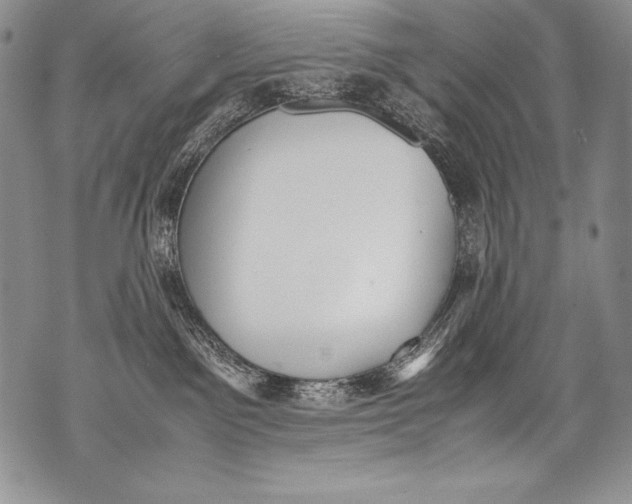 X0000071860141200607290206