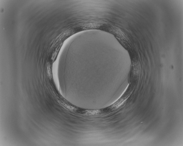 X0000071860143200607290206