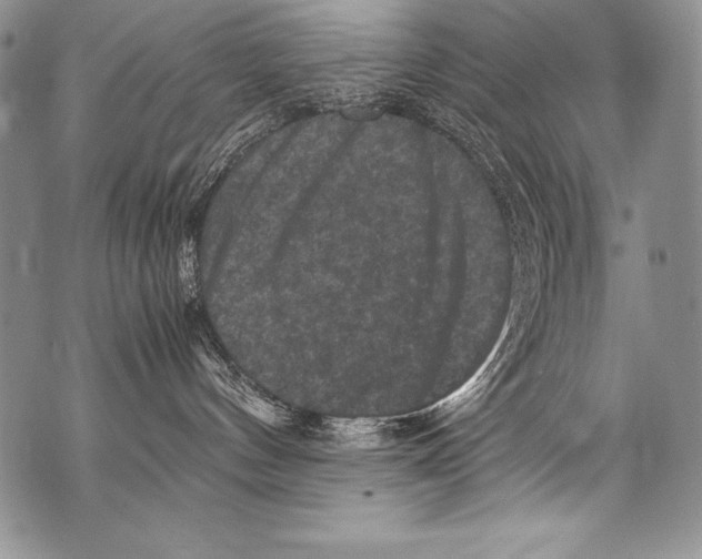 X0000071860144200607290206