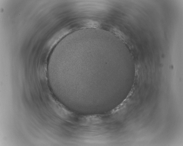 X0000071860146200607290206