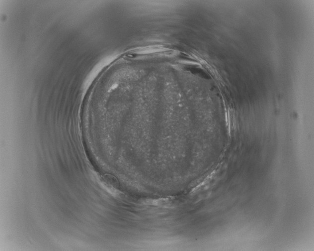 X0000071860147200607290206