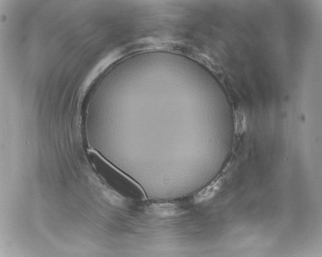 X0000071860150200607290206