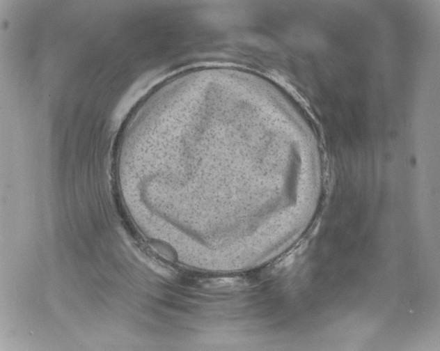 X0000071860151200607290206