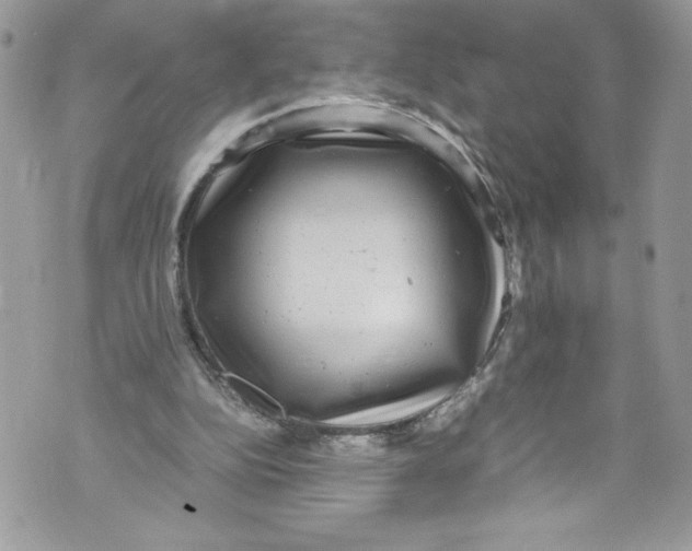 X0000071860152200607290206