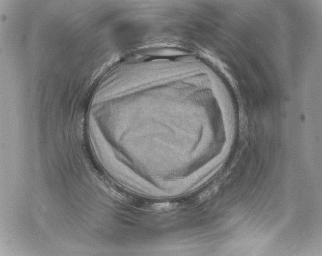 X0000071860153200607290206