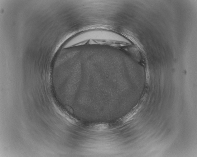 X0000071860156200607290206