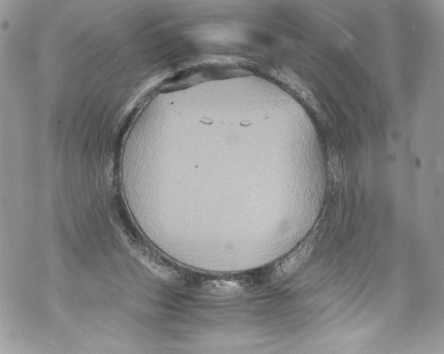 X0000071860159200607290206